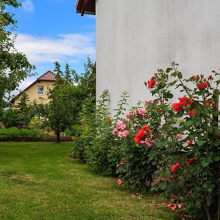 Hotel-Pension Am Rosarium Sangerhausen Exterior photo